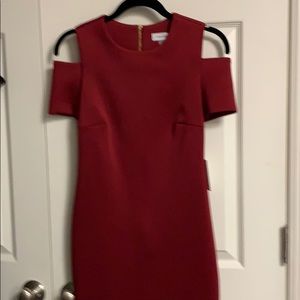 Calvin Klein dress. New with tag. Size 2